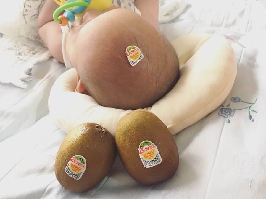 平山奈美のインスタグラム：「あげりしゃす🥝 . #理沙に凪どれ？て言われた #今度アタックしにいこか #にしてもどれ？ . . #キウイ #キウイブラザーズ #アゲリシャス #チラ見 #平成31年産まれ #男の子ベビー #男の子ママ  #新米ママ #笑顔  #生後4ヶ月 #赤ちゃん#赤ちゃんのいる暮らし #プレママ  #ベビスタグラム . #kiwi #fruit #zespri #baby #boy #mama #smile #happy #cute #4months  #love #mylove #justbaby」