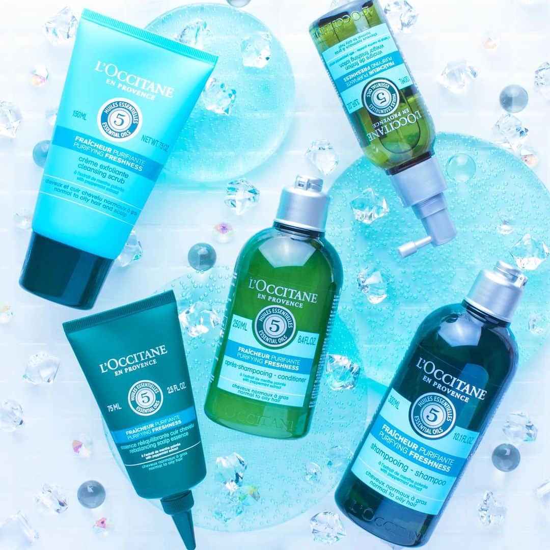 L'OCCITANE en Provenceさんのインスタグラム写真 - (L'OCCITANE en ProvenceInstagram)「-3℃(*1)のミントケアで、風通る夏髪へ✨﻿ピュアな髪と地肌を育てる、夏の清涼ヘアケアシリーズ﻿「ファイブハーブス ピュアフレッシュネスシリーズ」がリニューアル🌿﻿ ﻿ ラベンダー(*2)、グレープフルーツ(*3)、タイム(*4)など﻿ 厳選された５つのハーブに加え、﻿ 南仏ドローム産の高品質なミントを配合。﻿ フレッシュな香りと清涼感が﻿さらにパワーアップ！﻿ ﻿ シャンプーしたら、地肌に爽やかな風が吹いて、﻿ 夏の光の輝きを讃えるつややかでさらりとした髪へ。﻿ ﻿ ラインナップはこちら！﻿ ﻿ ﻿ ◎シャンプー＆コンディショナー﻿ 毛穴までクールに洗い上げ、サラサラ髪の透明地肌へ🌟﻿ ﻿ ◎ディープクレンジングケア﻿ 2017年、完売した人気製品が限定登場！﻿ -3℃の涼感体験で、ずっと爽やか。﻿ シャンプーと1：1で混ぜて使えば﻿爽快サラ髪✨﻿ ﻿ ◎スカルプセラム﻿ 頭皮環境を整えて、すっきりしよう。﻿ 頭皮のベタつきを抑えながら保湿し、 清潔で健康な状態へ！﻿ ﻿ ◎シャイニングビネガー﻿ お出かけ先でも手軽にケアできる、﻿ シュッと一吹きノズルタイプのミスト💁﻿ ハーバルビネガー(*5)が﻿ キューティクルを引き締め、すこやかな髪へ✨﻿ ﻿ ﻿ 夏も涼しく乗り切るための必須アイテム！﻿ ファイブハーブス ピュアフレッシュネスシリーズは﻿ 本日6月26日(水)より限定発売です✨﻿ ﻿ ﻿ (*1)スカルプセラム、シャイニングビネガー2品を連続使用した直後の感触。﻿ (*2)ラベンダー油﻿ (*3)グレープフルーツ果皮油﻿ (*4)タチジャコウソウ油/葉油﻿ (*5)酢、セージ葉エキス、ローズマリー葉エキス、ラベンダー花エキス、タチジャコウソウ花／葉エキス ※すべてヘア・スキンコンディショニング成分﻿ ﻿ #シャンプーマニア #シャンプー難民 #シャンプーの香り #ミント #ピュアフレッシュネス #ピュアフレ #ファイブハーブス  #夏コスメ #夏シャンプー #おふろ #お風呂時間 #お風呂 #お風呂美容 #シャンプー #美髪 #ヘアケア #髪 #トリートメント #シャンプー #ナチュラルシャンプー #ナチュラルヘア #美容 #新作コスメ #夏コスメ #ヘッドスパ #スパ #ロクシタン #ロクシタン好き #ロクシタン大好き #プロヴァンス #Provence」6月26日 17時38分 - loccitane_jp