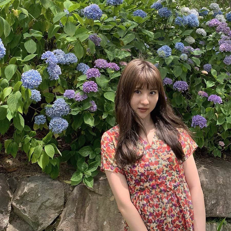林萌々香さんのインスタグラム写真 - (林萌々香Instagram)「紫陽花と花柄ワンピース（2枚目）  #moka_👗」6月26日 18時16分 - momoka_hayashi