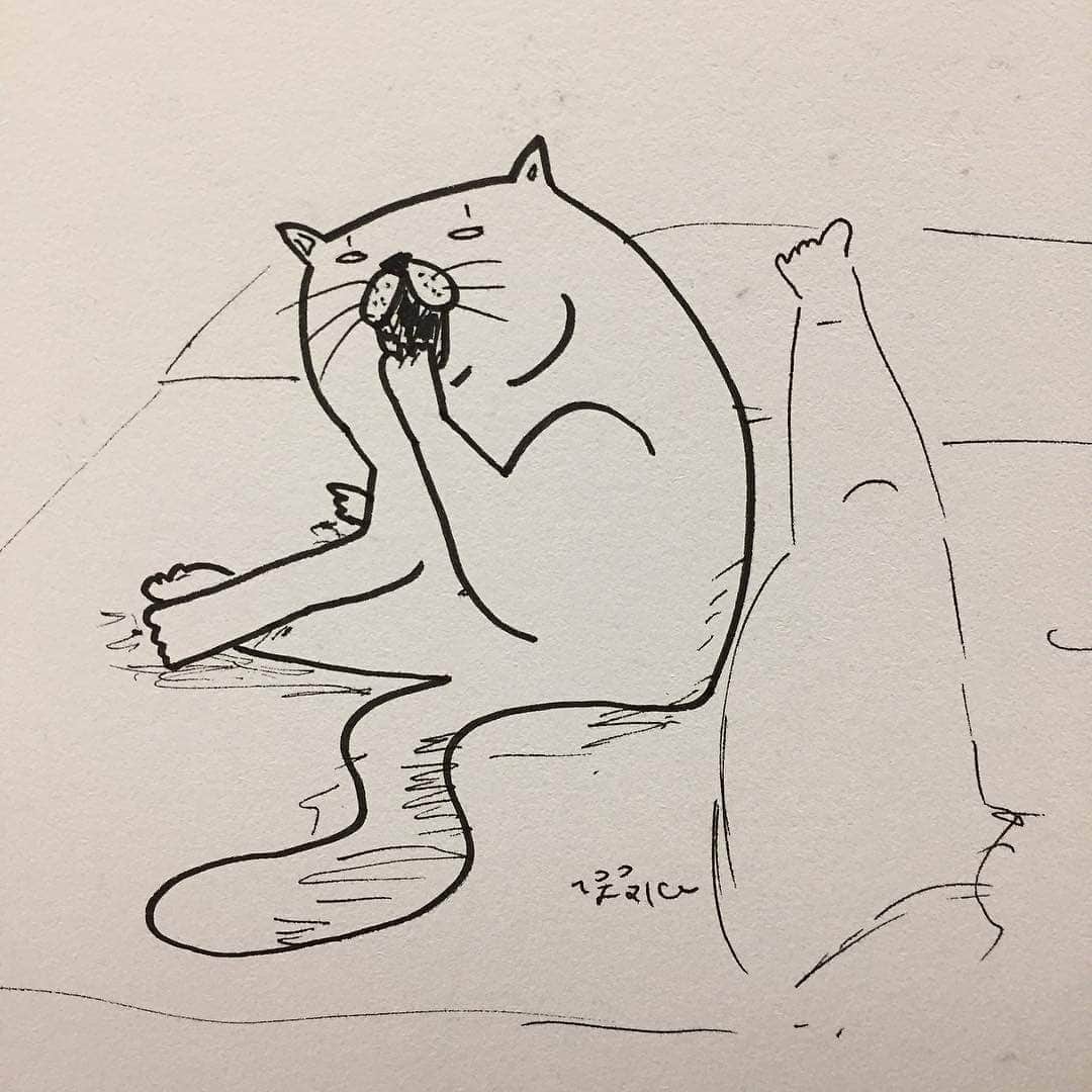 Aww Clubさんのインスタグラム写真 - (Aww ClubInstagram)「Found a talented artist 😂 - ✍🏼@mspmsand5k meowdle @5k.meow - Draw your cat and remember to tag #drawmeowchallenge to get a chance to be featured -  #meowed #britishshorthair #5000 #5k #amiajoketoyou」6月26日 18時23分 - meowed