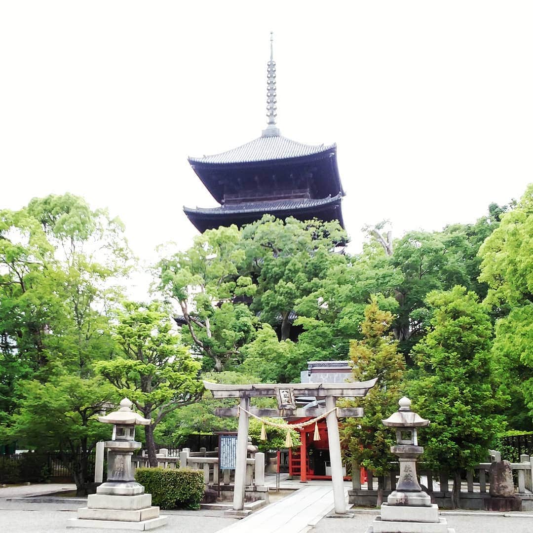 市川笑野さんのインスタグラム写真 - (市川笑野Instagram)「東寺の五重塔 境内にお社があるのは不思議？　当然？ 日本人の宗教感に想いを馳せます。 #東寺の五重塔 #寺と神社 #日本人の宗教感 #kyoto #japan」6月26日 18時27分 - emino.i