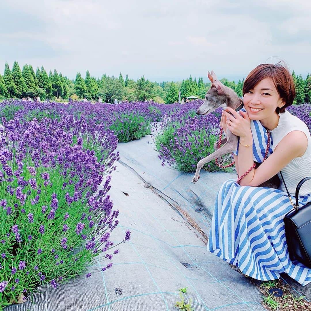 簑島宏美のインスタグラム