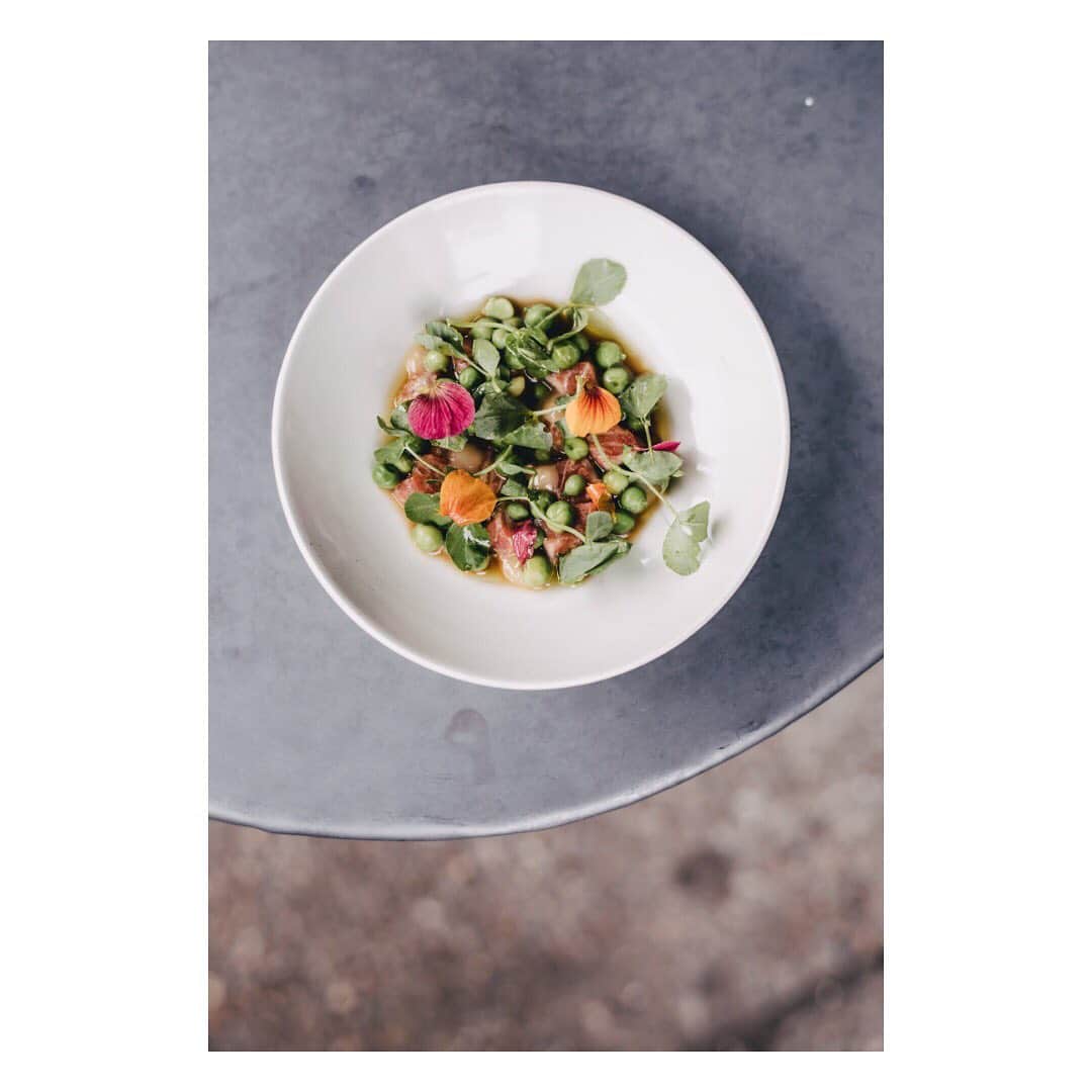 The Modern Houseさんのインスタグラム写真 - (The Modern HouseInstagram)「Today on our Journal, we visit chef Nicholas Balfe's Levan in Peckham. Follow the link in our bio to see more, and get Nicholas' recipe for sea trout crudo. @levanlondon @nicholasbalfe」6月26日 18時58分 - themodernhouse