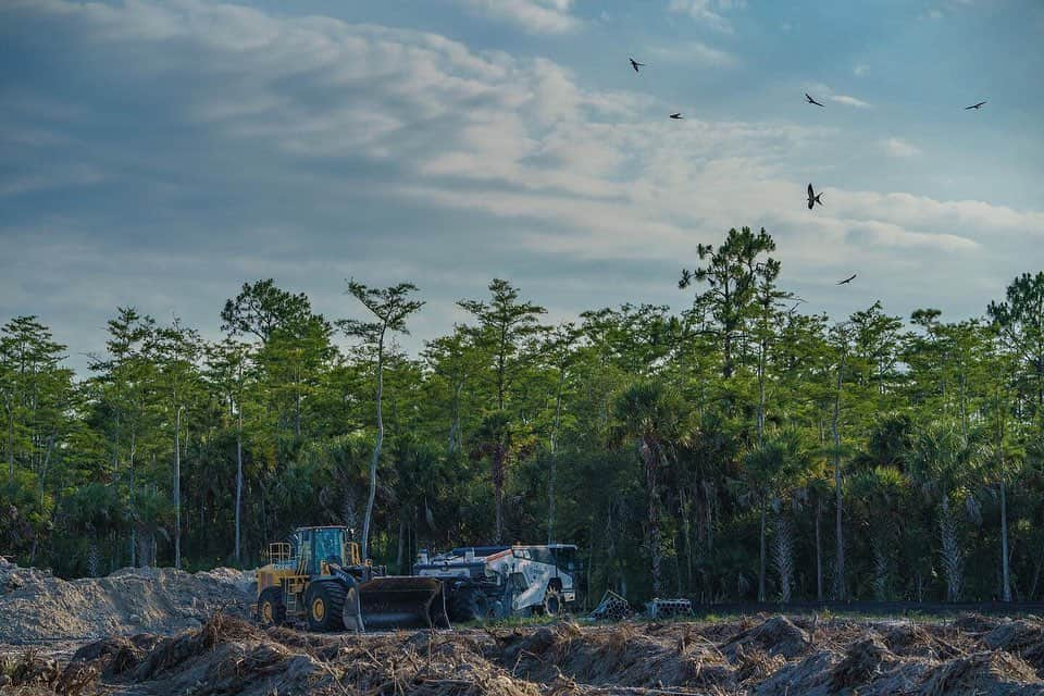 ナショナルジオグラフィックさんのインスタグラム写真 - (ナショナルジオグラフィックInstagram)「Photos by Carlton Ward Jr. @carltonward | The hard line between forest and dirt on an area cleared for development in eastern Naples. Last month when driving to service a camera trap set for panthers at nearby @corkscrewswamp, I was drawn to the side of the road by swallow-tailed kites foraging among piles of toppled trees. Based on the time of the year, I knew the kites were probably nesting in other trees nearby. Next year when they come back from their annual migration to South America, how many other trees will be gone in the South Florida breeding grounds that are so important to their epic life journey? These drone shots could be a kite’s-eye view. Florida loses more than 100,000 acres of natural and rural land to development each year. Time to make land conservation a priority and keep the Florida Wildlife Corridor connected while we still have a chance. #FloridaWildlifeCorridor @fl_wildcorridor #floridawild #keepflwild #pathofthepanther @insidenatgeo」6月27日 4時40分 - natgeo