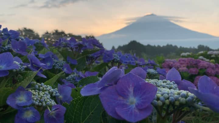 phantastic420のインスタグラム：「. 🤩🤩“Shizuoka” prefecture in Japan is a place where you can see the most “phantastic” Mt. Fuji🗻 in the world.🤩 #富士山 #mtfuji #japan #shizuoka #fujinomiya  #phantastic420photography #mostphantasticmtfuji #selamatpagi  #goodmorning  #おはようございます 😇😇😇😇😇😇😇🗻😇😇」