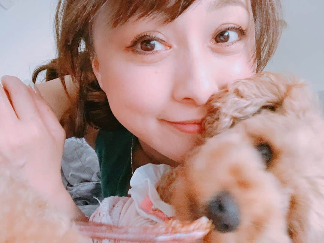 渡辺美奈代さんのインスタグラム写真 - (渡辺美奈代Instagram)「ただいま〜〜 #トイプードルれっど  #といぷーどる」6月26日 20時59分 - watanabe_minayo