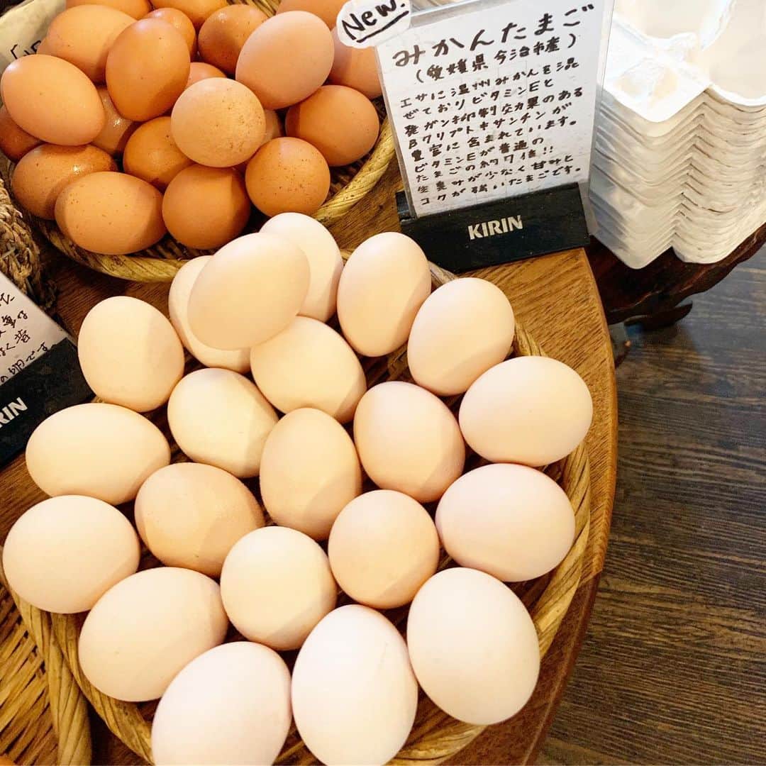 川田御早希のグルメインスタ