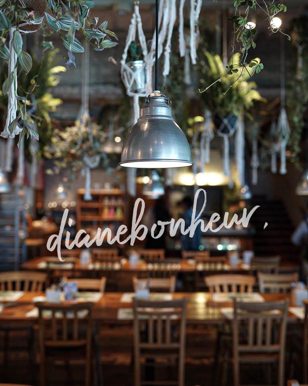 島野ミキのグルメインスタ