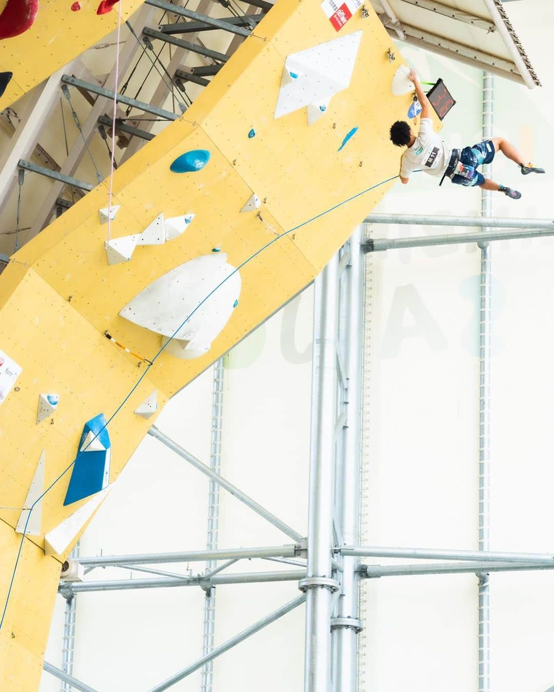 原田海さんのインスタグラム写真 - (原田海Instagram)「Lead Would Cup season is coming soon!! Getting ready to catch the TOP!!💪🏼🔥 pic by: @a_yuichiro  #climbing #leadclimbing #クライミング#climbing_pictures_of_instagram #lwc #ifsc #ifscwc」6月26日 21時22分 - kai_hrd