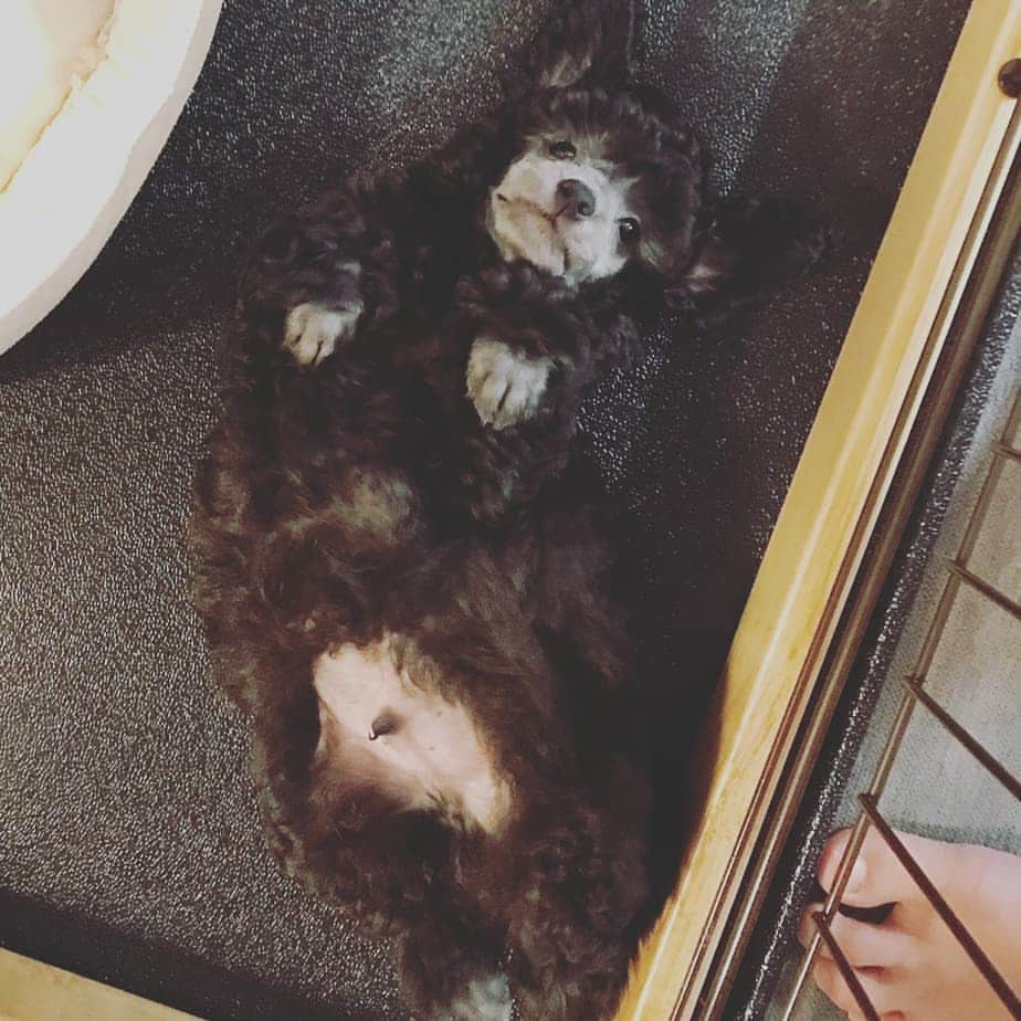 竹内弘一のインスタグラム