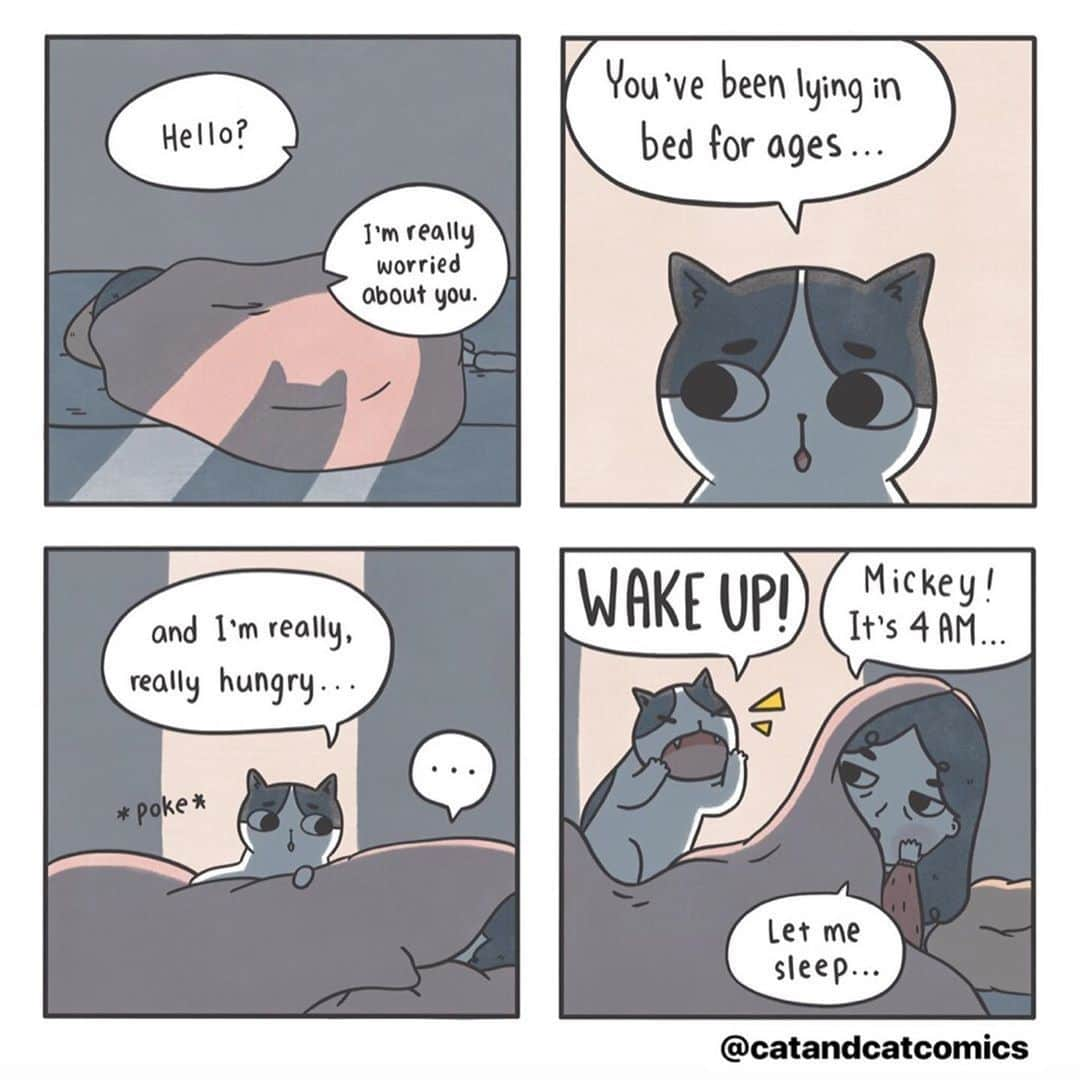 Aww Clubさんのインスタグラム写真 - (Aww ClubInstagram)「Wake up servant your meow is hungry⠀ ⠀ ✍🏼@catandcatcomics⠀ ⠀ #meowed #doodles #9gagmeowdle #catandcatcomics #catcomic #meowedcomic #dailylife #catparent #livewithacat」6月26日 22時00分 - meowed