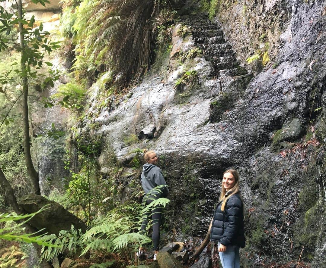 ケイティ・パスフィールドさんのインスタグラム写真 - (ケイティ・パスフィールドInstagram)「All the critters were 100% found in our bush walk」6月26日 22時05分 - katiepasfield