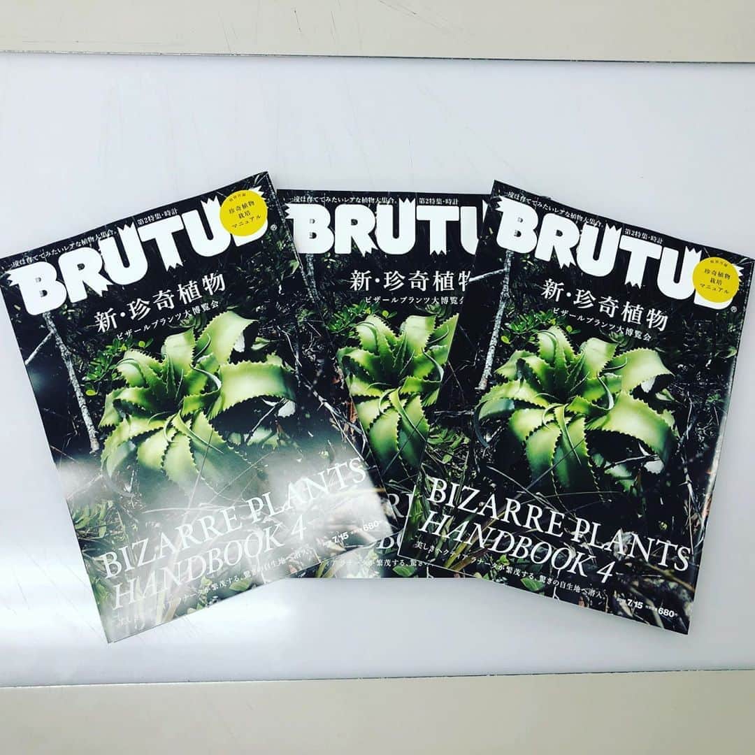 ブルータスさんのインスタグラム写真 - (ブルータスInstagram)「【珍奇植物★7月1日発売】次号、早刷りが届きました。7月1日発売、特集「新・珍奇植物」。 #ブルータス #brutus #珍奇植物 #植物 #多肉植物 #観葉植物 #植物のある暮らし #花 #botanical #plants #nature」6月26日 22時05分 - brutusmag
