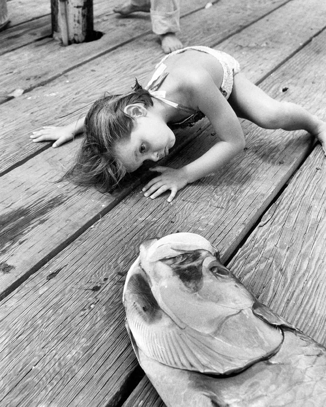 lifeさんのインスタグラム写真 - (lifeInstagram)「A young girl checking out her fathers big catch in Sarasota, Florida, 1956. (Alfred Eisenstaedt—The LIFE Picture Collection/Getty Images) #wildLIFEwednesday #bigfish」6月26日 22時16分 - life