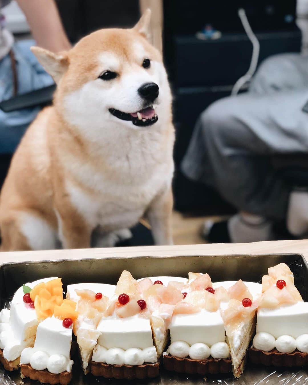 EIGHT DESIGNのグルメインスタ