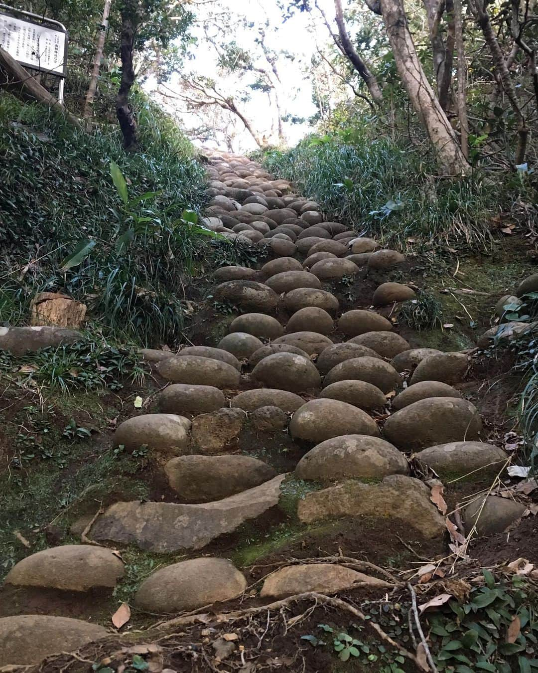 福山理子さんのインスタグラム写真 - (福山理子Instagram)「#裏見ケ滝  #八丈島 #為朝神社石宮」6月26日 22時22分 - rikofukuyama