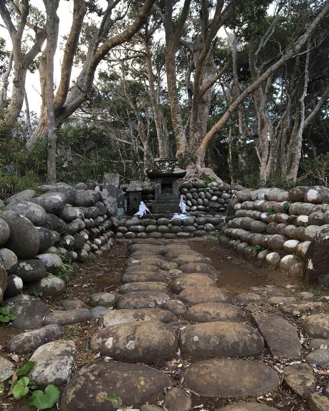 福山理子さんのインスタグラム写真 - (福山理子Instagram)「#裏見ケ滝  #八丈島 #為朝神社石宮」6月26日 22時22分 - rikofukuyama