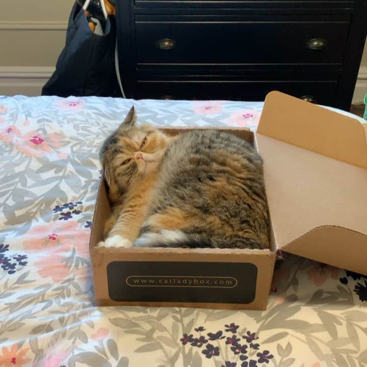 Tinaのインスタグラム：「Hump Day mood 😒」