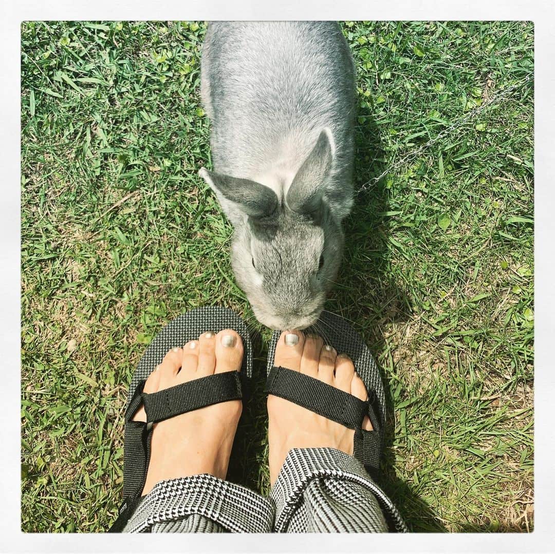 藤森由香のインスタグラム：「今日は暑かった〜！テバのサンダルでお出かけ🐰 @tevajapan #Teva #テバ#flatformuniversal #白黒#楽チン#ヘビーユーザー確定」