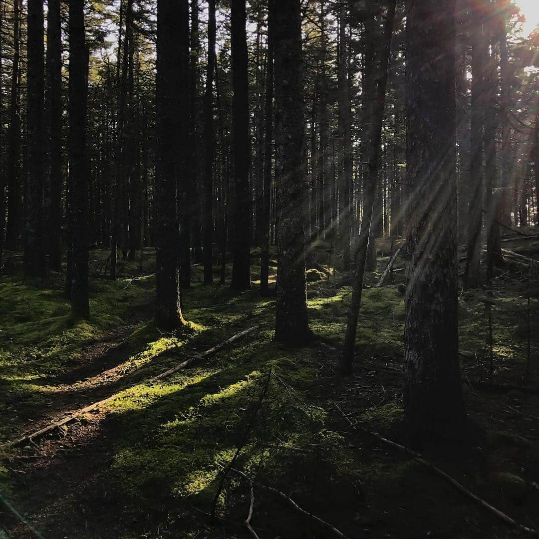 appleさんのインスタグラム写真 - (appleInstagram)「"My work as a visual storyteller is about people and usually brings me to communities and places outside of my own. These images are personal moments from time with my family near our home. The light and tone reflect the peace I feel when I’m in these places with the people I love.” #nature #ShotoniPhone by Amy T. @amytoensing」6月26日 23時21分 - apple