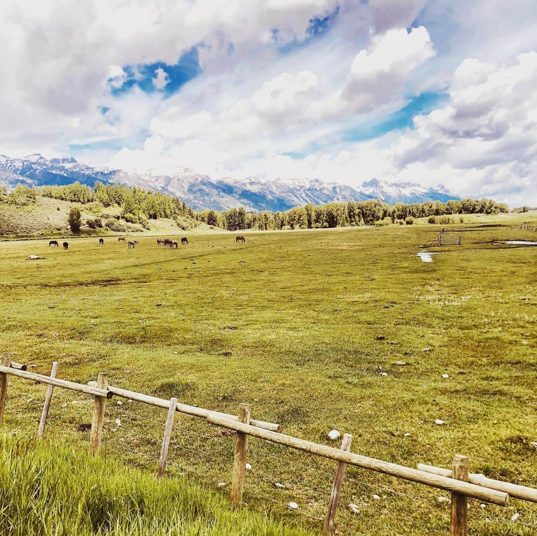 マシュー・モリソンさんのインスタグラム写真 - (マシュー・モリソンInstagram)「Wow, Wyoming!  I had no idea. The topography, the animals (check out that tandem Bison hurdle!), the people!  Can’t wait to be back in your presence. #morrisonadventures #wyoming #bison #family #roadtrip」6月27日 0時04分 - matthewmorrison