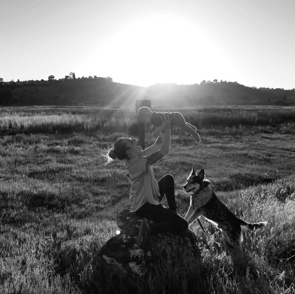 Dogs by Ginaのインスタグラム：「Good morning friends!  Thank you all for following my journey and supporting my art. I am so excited to be here in Napa and grow with this community. I have been in this industry for over 10 years but have loved dogs all of my 29 years of life! As a new mom I often get overwhelmed with business life and mom life. Im sure some of you can relate. Being with my dogs and family outdoors brings me the most joy in life. 🤙🏼🐾」