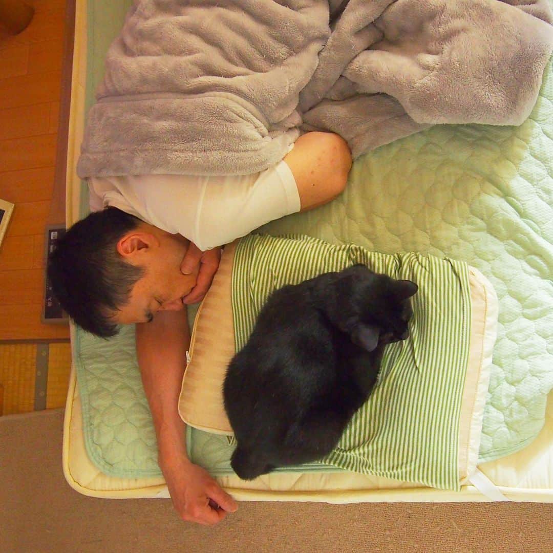 nemuru_catさんのインスタグラム写真 - (nemuru_catInstagram)「#ベム#眠る夫  きのう銚子まで運転して ヘトヘトな夫は ベムきゅんと仲良く寝ました😪 しばらくしてのぞいてみたら ベムきゅんにマクラを 取られていました。 てか、どうやってそっちに行ったの😸 で、おやすみにゃさ〜い💤💤 * #ねこ部#cat#cats#neko#猫#catsofinstagram#bestmeow#catlover#instagramjapan#ふわもこ部#黒猫#眠る夫」6月27日 0時34分 - nemuru_cat