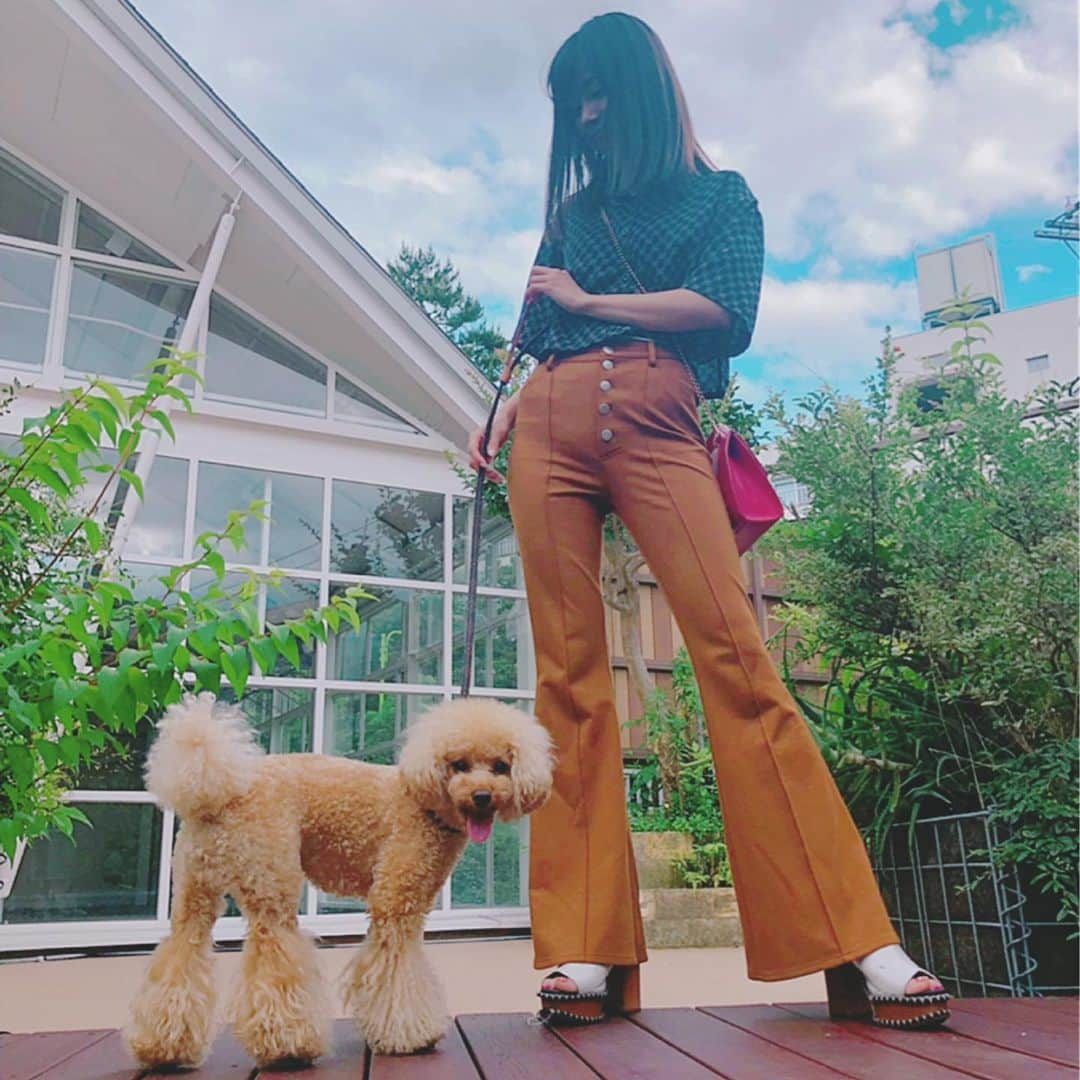 藤澤友千菜さんのインスタグラム写真 - (藤澤友千菜Instagram)「ﾌﾞｰﾂｶｯﾄ🌼 #instagood #fashion #model #japanesegirl #japan #followme #dog #instalove #evris  #ファッション #コーデ #散歩 #犬 #モデル #マルプー #マルプー連合 #トイプードル #茶柱 #マルプーの茶柱 #ちゃば #ゆっちゃば #大好き #犬なしでは生きていけません会 #藤澤友千菜」6月27日 0時52分 - yuchina1207