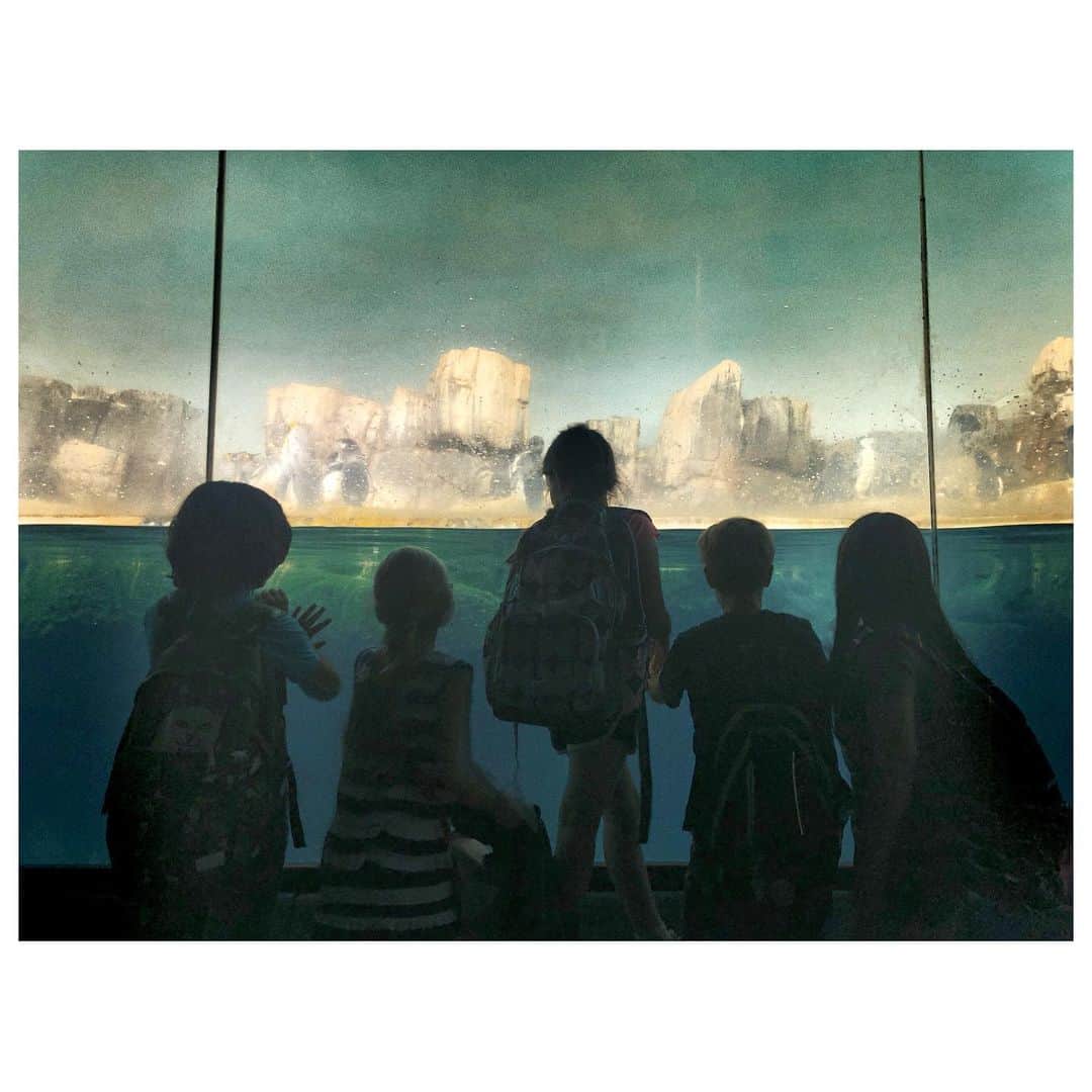 リード・モラノのインスタグラム：「habitat」