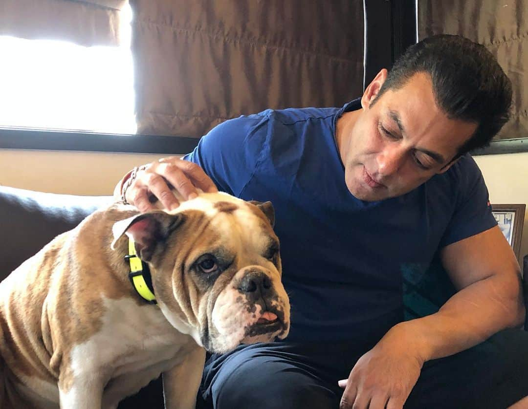 サルマン・カーンさんのインスタグラム写真 - (サルマン・カーンInstagram)「Spending time with the most loving, loyal and selfless species.」6月27日 0時46分 - beingsalmankhan