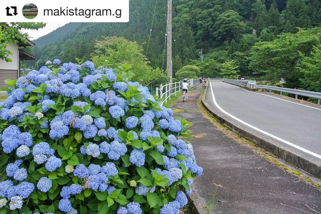 のインスタグラム：「#Repost @makistagram.g with @get_repost ・・・ 家族でサイクリング🚲 大人は#水辺の館 で電動自転車レンタルして、子供は自分の自転車で行きました💨 途中で雨もパラついてきたので、小一時間のサイクリングでした☺️ 簡単にお弁当持って行ったけど、小雨降ってたので家に帰って車庫でピクニックしました😂  #あじさい#紫陽花#サイクリング#レンタルサイクル #岐阜県#下呂#馬瀬#日本で最も美しい村#日本で最も美しい村連合#田舎#田舎暮らし #gerostagram#下呂アンバサダー#岐阜県インスタ部#gifuphoto #bestphoto_japan#visit_tokai#visitjapanjp#scenic_jp#instagramjapan#Japan#ファインダー越しの私の世界 #Nikon#light_nikon#はなまっぷ#私の花の写真」