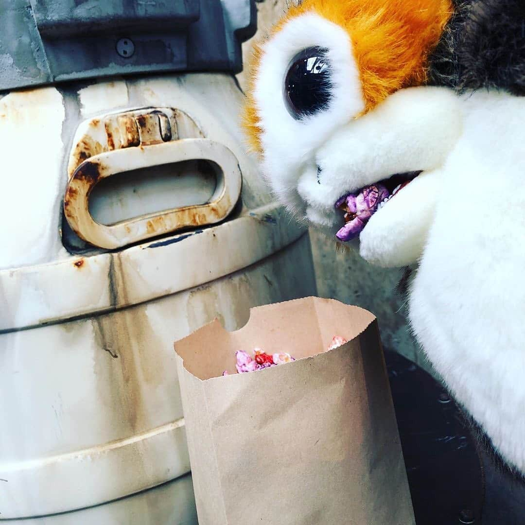 ディズニーランドさんのインスタグラム写真 - (ディズニーランドInstagram)「Look at all of the unique creatures and friends you have found in #StarWars #GalaxysEdge at Disneyland. What new friends have you made while living your adventure in the all-new land?  Use #HappiestPlace to share your Star Wars story this week for a chance to be featured. (📷: @just_jess_fashion @jenniferlanda @sarahsaryan @meghanyount @goofysushi)」6月27日 1時10分 - disneyland