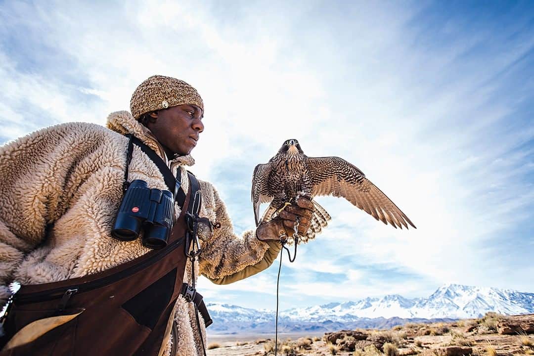 patagoniaさんのインスタグラム写真 - (patagoniaInstagram)「The flipside of catch and release. World-renowned falconer Shawn Hayes prepares to unleash his hunting partner.⁠ Photo: Shawn Reeder⁠」6月27日 1時22分 - patagonia