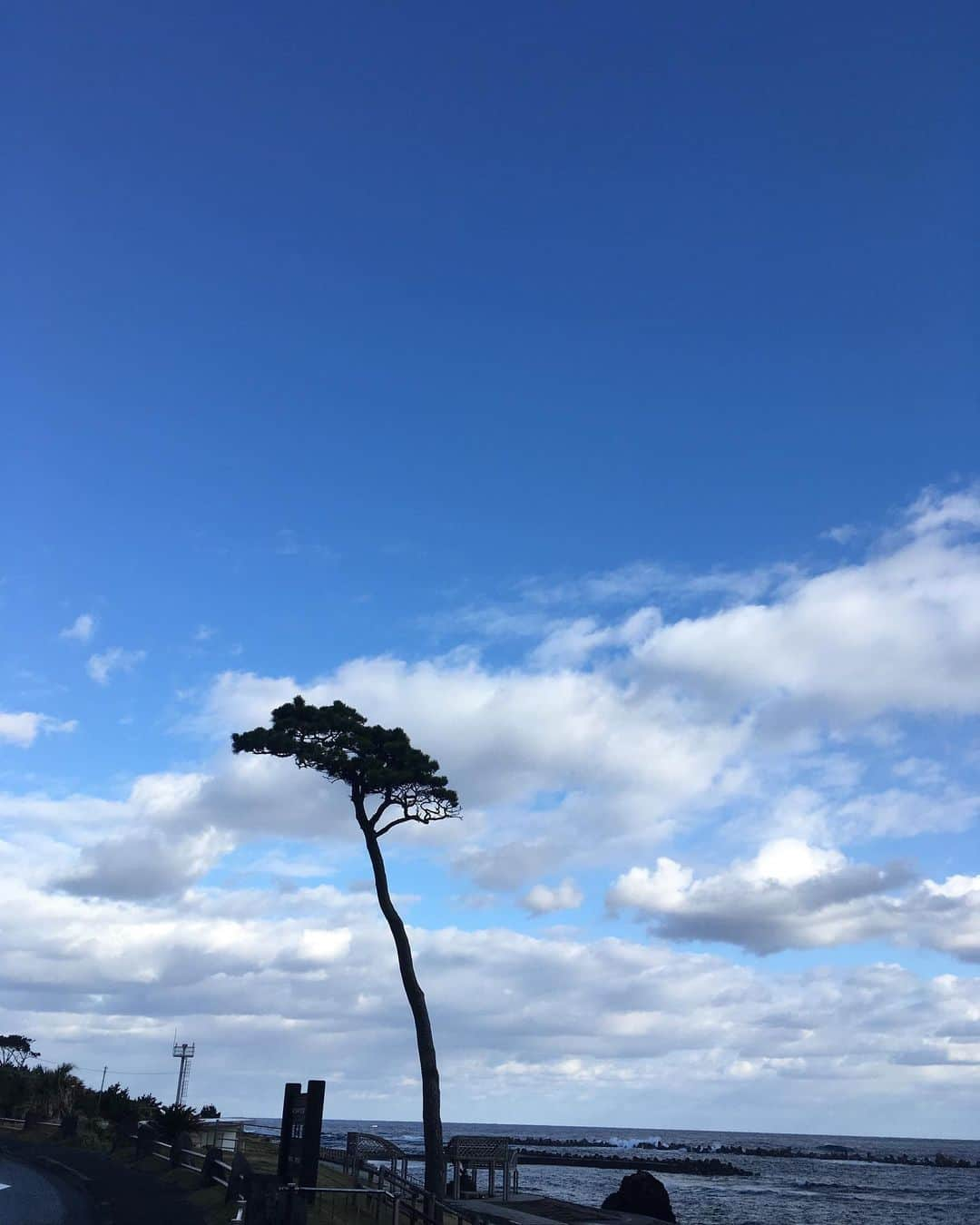 福山理子さんのインスタグラム写真 - (福山理子Instagram)「八丈島の海と道 https://www.autoby.jp/_ct/17282607 #バイク女 #八丈島」6月27日 2時03分 - rikofukuyama