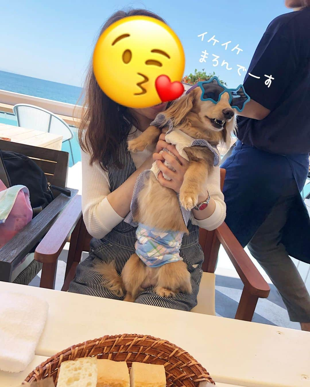 チズさんのインスタグラム写真 - (チズInstagram)「マロ君🐶イケてるわぁー💖 海辺⛱のテラスにぴったりね🐾  #グラサン犬 ✨ #グラサン男子 🕶 #ダイソー#100均  #サングラス最高 ‼️ #ハズキルーペ じゃないよ😎 #店員さん #二度見 笑。 #それだけ素敵ってこと 💕 #犬とお出かけ 🐕💨 #オーシャンビュー 🏝 #旅は犬連れ  #Mダックス#ダックス#ミニチュアダックス #親父犬#シニア犬#ミニチュアダックスフンド #ミニチュアダックスクリーム#短足部 #短足犬#カニンヘンダックス #ダックス13歳#カニンヘンダックスフンド#犬は家族#犬のいる生活#インスタでわんこみるのが日課 ♡♡」6月27日 1時59分 - sqi.chizu