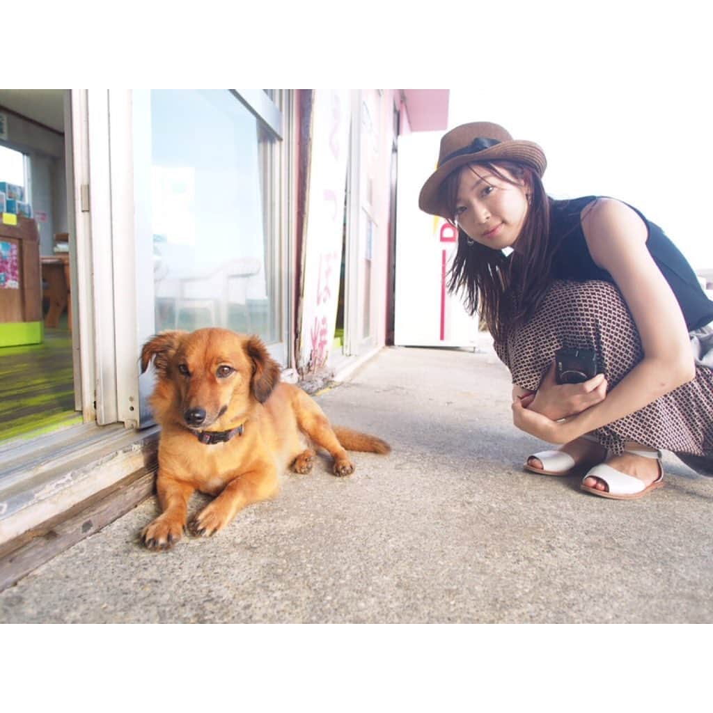 寺島咲のインスタグラム：「看板犬と。#犬#わんこ」
