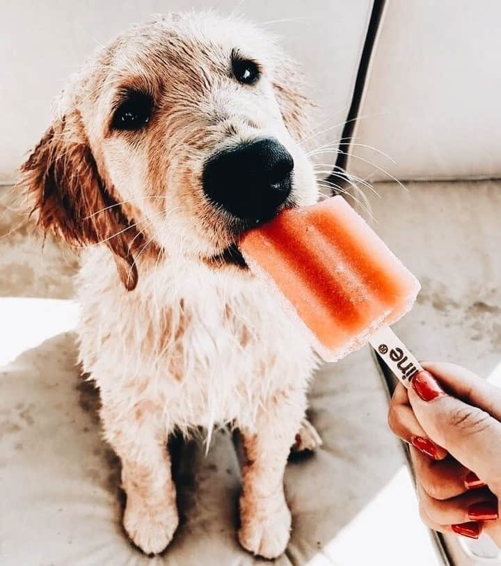 のインスタグラム：「summer vibes😋 #chaserbrand #viapinterest #sourceunknown」