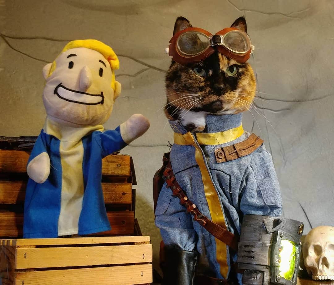 猫コスプレさんのインスタグラム写真 - (猫コスプレInstagram)「"They seem nice." ~ famous last words  #Fallout #VaultCat . . . . . . . . #Vault77 #VaultBoy #pipboy #FalloutCosplay #FalloutCosplayer #catcostume #CatCosplay #cosplay #VideoGame」6月27日 3時01分 - cat_cosplay