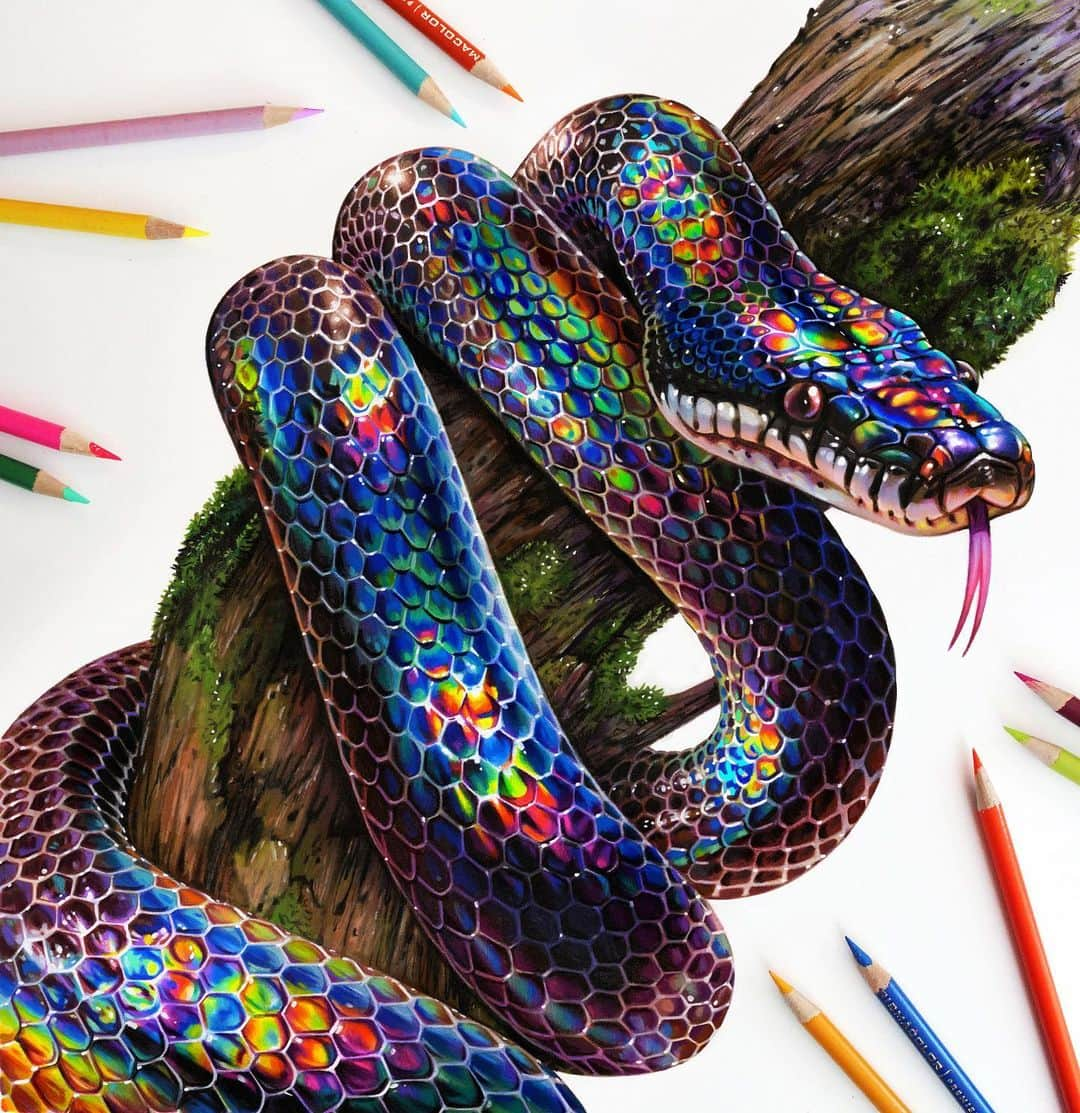 Morgan Davidsonのインスタグラム：「Colored pencil rainbow snake drawing with a marker base! 🐍🌈✨Process will be uploaded to my saved stories! 💕 Thank you all for all of your love and comments on the process, it means a lot! 🥰」