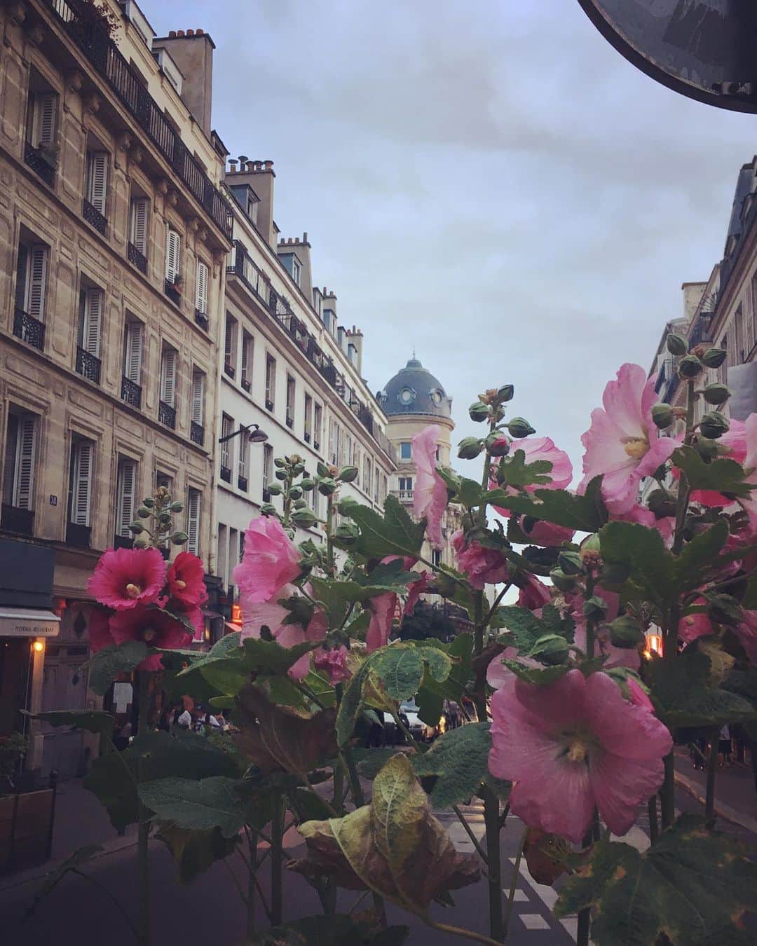 小橋めぐみのインスタグラム：「帰国しました✈️ Parisは、どこを切り取っても素敵！ いい刺激をいっぱい受けました。 思い出話は、またゆっくり🇫🇷 にしても 珍しく時差ボケ…困った…」