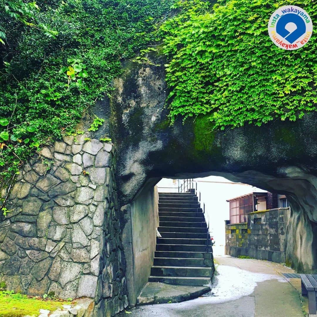 和歌山県さんのインスタグラム写真 - (和歌山県Instagram)「Insta_Wakayamaでは、皆さんがハッシュタグをつけて投稿してくださった写真から、素敵な写真をご紹介させていただきます！ 本日は、和歌山県観光連盟とのコラボ企画「 #グッドトリップ和歌山 」投稿キャンペーンの月間優秀賞（２０１９年５月）作品をご紹介いたします。  まず１枚目は @chika.nakao_ さんが投稿されました、和歌山市の友が島（ともがしま）のお写真です。 ２枚目は @katsuo_photo さんが投稿されました、有田川町のホタルのお写真です。 ３枚目は @pic_konch72 さんが投稿されました、白浜町の志原海岸のお写真です。 ４枚目は @ho_ro_march さんが投稿されました、太地町にある和田の岩門のお写真です。 ５枚目は @hama_aki_ppp さんが投稿されました、田辺市の星降る天神崎のお写真です。  今回は、夏の和歌山を象徴するような素晴らしい写真が多いですね(^^) 参考：https://www.wakayama-kanko.or.jp/goodtrip/ （和歌山県観光連盟HP）  @insta_wakayama では、引き続き #グッドトリップ和歌山 投稿キャンペーンを開催中です！ 和歌山県の素敵なお写真を投稿していただいた方々の中から、毎月5名様に1万円をプレゼント🎁しています！🎉 詳しくは @insta_wakayama のプロフィールにあるURLをチェックしてください。 また和歌山に関する投稿にはぜひ「 #insta_wakayama 」ハッシュタグをつけてください★ 和歌山の魅力を皆さんで発信していきましょう！ ハッシュタグをつけるとともに、写真の場所の記載や位置情報の登録をしていただければ幸いです🎵  #和歌山県 #観光和歌山 #風景 #風景和歌山 #なんて素敵な和歌山なんでしょう #wakayama #insta_wakayama #wakayamagram #instameet_wakayama  #nagomi_wakayama #visitwakayama」6月27日 14時15分 - insta_wakayama