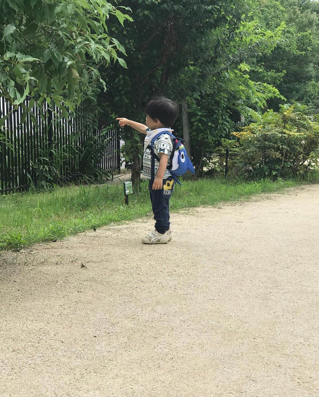 氷浦紫さんのインスタグラム写真 - (氷浦紫Instagram)「引越し前、最後の公園(天気予報的に多分)にいってきた。歩けるようになる前から来ていた公園。最初はベビーカーでまわるだけだったのにいつの間にか走り回れるようになった。せっかく慣れてきたのに今日でﾊﾞｲﾊﾞｲ(ヾ(´・ω・｀)。 今日で公園バイバイだよーって言ったら、バイバイしてた。 ちょっと切ない。  #引越しは別れ#引越し前 #引越しあるある #子連れ引越し#荷造りでそろそろ疲労限界#1歳5ヶ月#1y5m #男の子モデル#イアラ#イアラモデルエージェンシー #iaramodelagency #iara」6月27日 14時19分 - yukalihiula