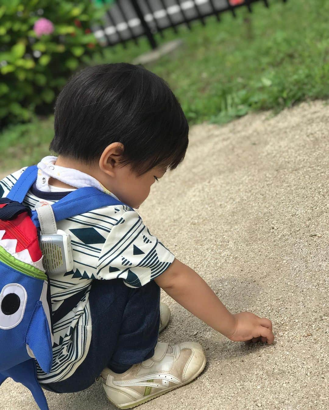 氷浦紫さんのインスタグラム写真 - (氷浦紫Instagram)「引越し前、最後の公園(天気予報的に多分)にいってきた。歩けるようになる前から来ていた公園。最初はベビーカーでまわるだけだったのにいつの間にか走り回れるようになった。せっかく慣れてきたのに今日でﾊﾞｲﾊﾞｲ(ヾ(´・ω・｀)。 今日で公園バイバイだよーって言ったら、バイバイしてた。 ちょっと切ない。  #引越しは別れ#引越し前 #引越しあるある #子連れ引越し#荷造りでそろそろ疲労限界#1歳5ヶ月#1y5m #男の子モデル#イアラ#イアラモデルエージェンシー #iaramodelagency #iara」6月27日 14時19分 - yukalihiula