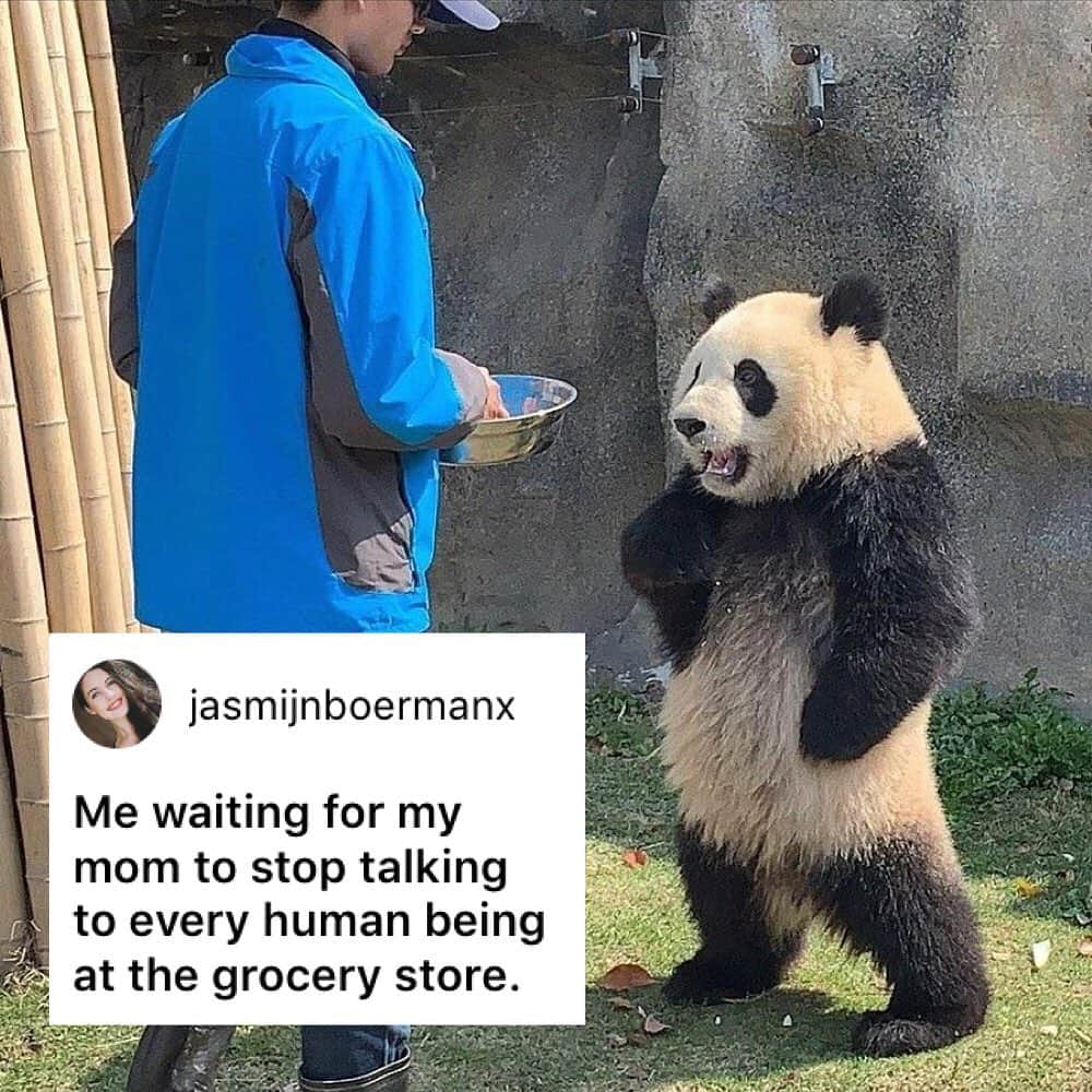 9GAGさんのインスタグラム写真 - (9GAGInstagram)「I’d like to talk to the manager. - How would you meme this? Leave a comment below. Stay tuned to our IG story so you won’t miss the next “Meme This”! #memethis #9gag」6月27日 14時32分 - 9gag