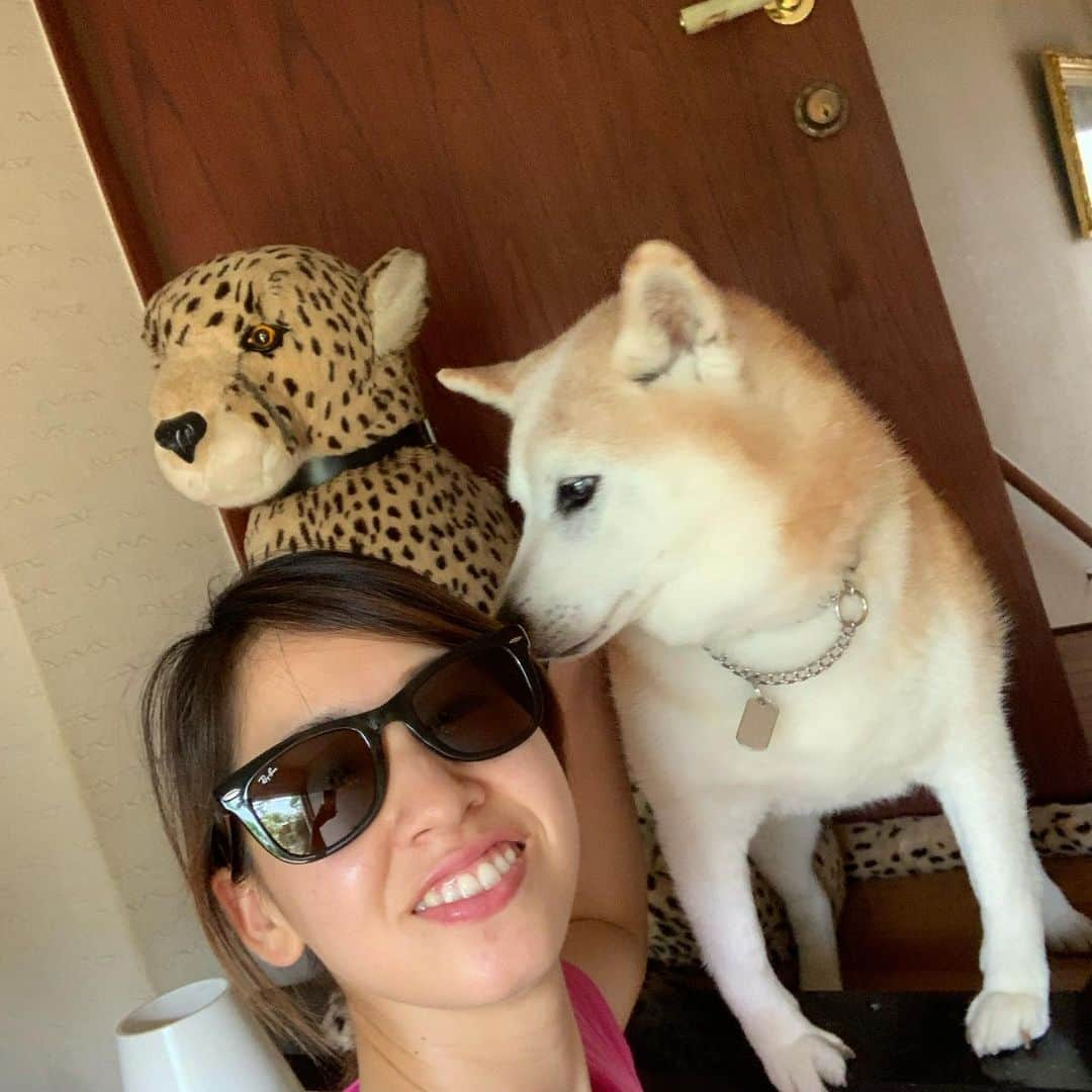 桒原えりかさんのインスタグラム写真 - (桒原えりかInstagram)「リオンとヒョウと私。 #dog #dogstagram」6月27日 14時51分 - erica._.k89