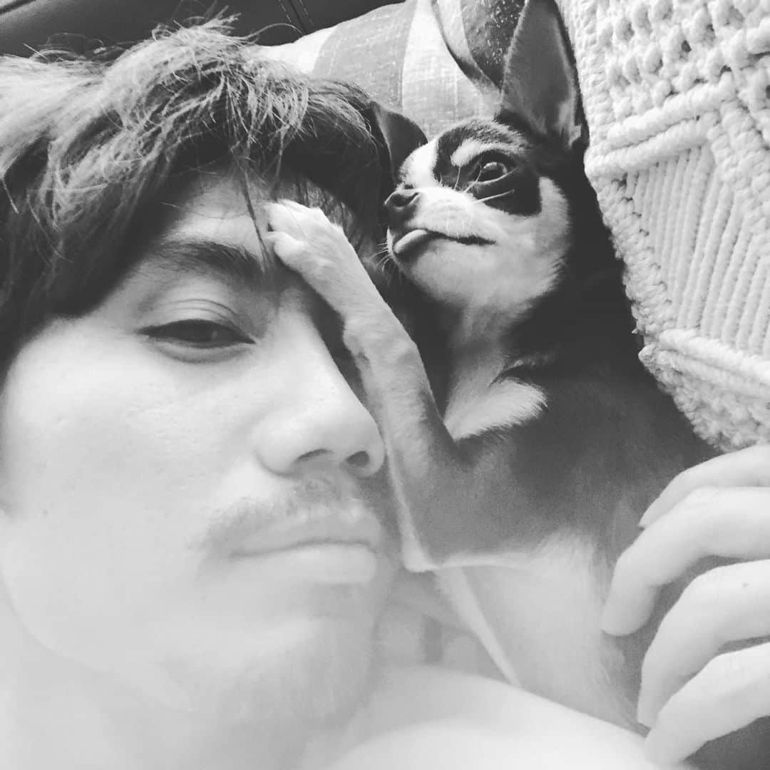 柏木陽介さんのインスタグラム写真 - (柏木陽介Instagram)「なんだこの写真。 自撮りの最高級かも。  ナイスな勝利の余韻に浸って、みんなの帰りを待ちます。 明日から大分戦に向けて、全員でいい準備。  リーグもいきますよ！！！！ #いい写真#自撮り#ナイス勝利#こういう時の浦和が一番強い#どこでもこい！！#リーグもこれから」6月27日 14時54分 - yosuke_kashiwagi