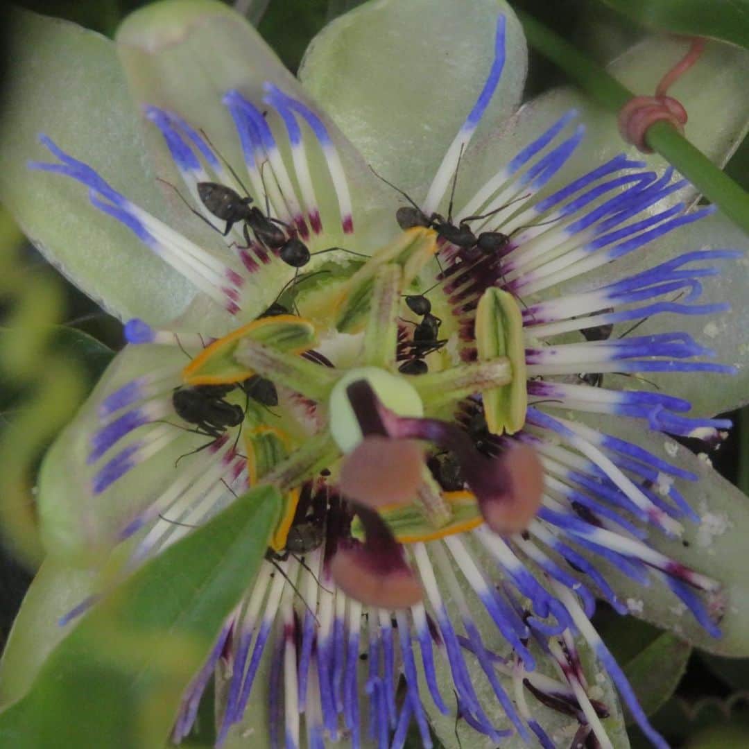 魔女菅原のグルメインスタ