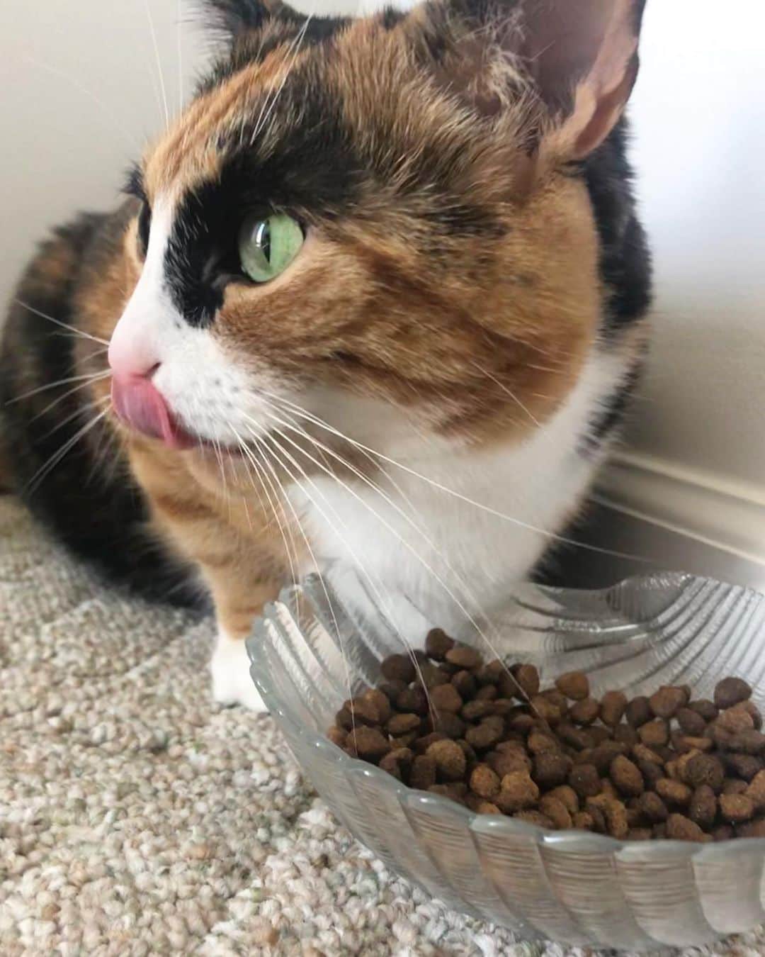 リリーのインスタグラム：「Dinner time is the best time😋」