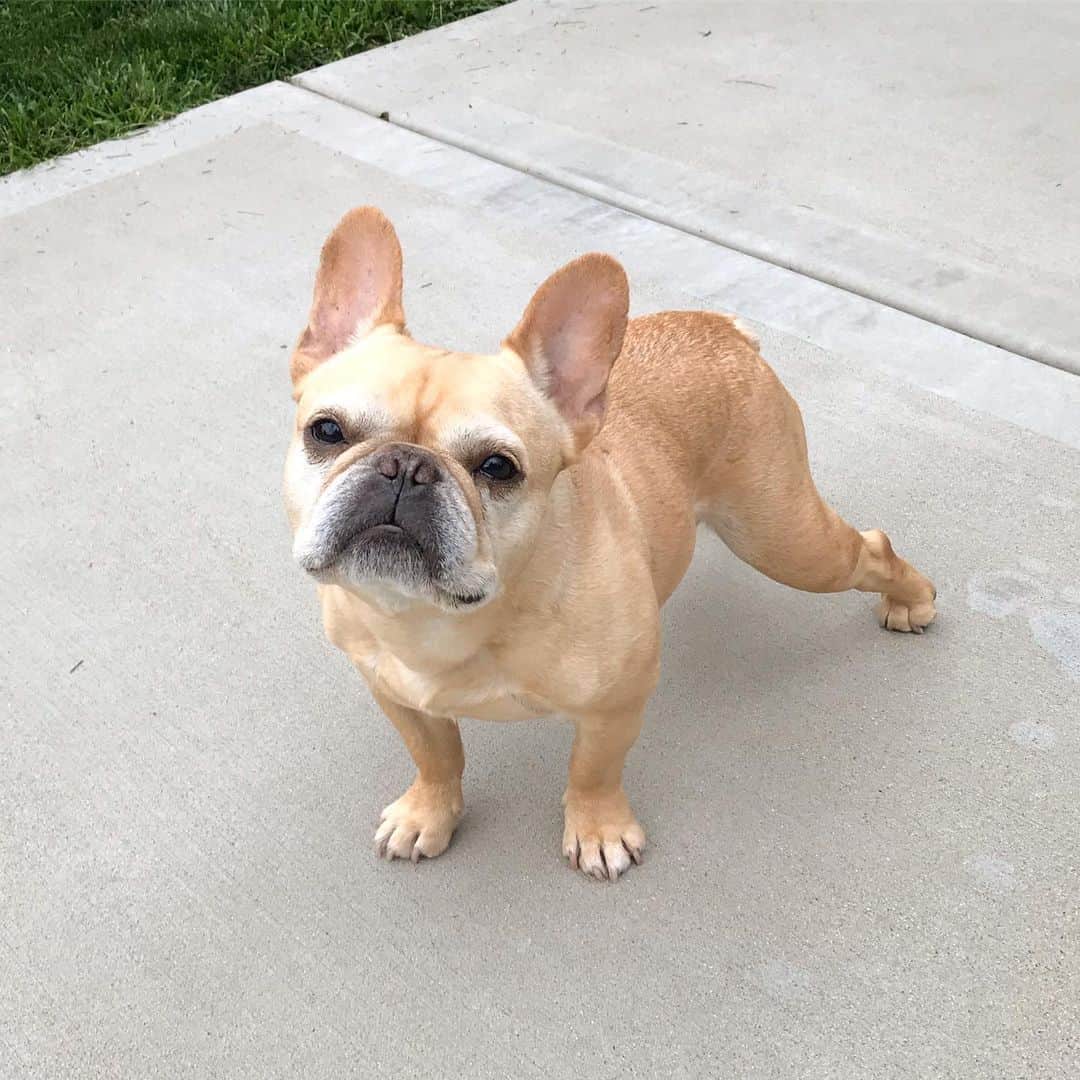 Hamlinのインスタグラム：「Let’s see how the critics rated this hella fantastic turkey leg pose: - Olympic Judges: 🥇 - Rotten Tomatoes: 🍅 97% - IMDb: ⭐️ 9.5/10 - Weekly World News: 👽🤙 ........., #yougottaseethistobelieveit」