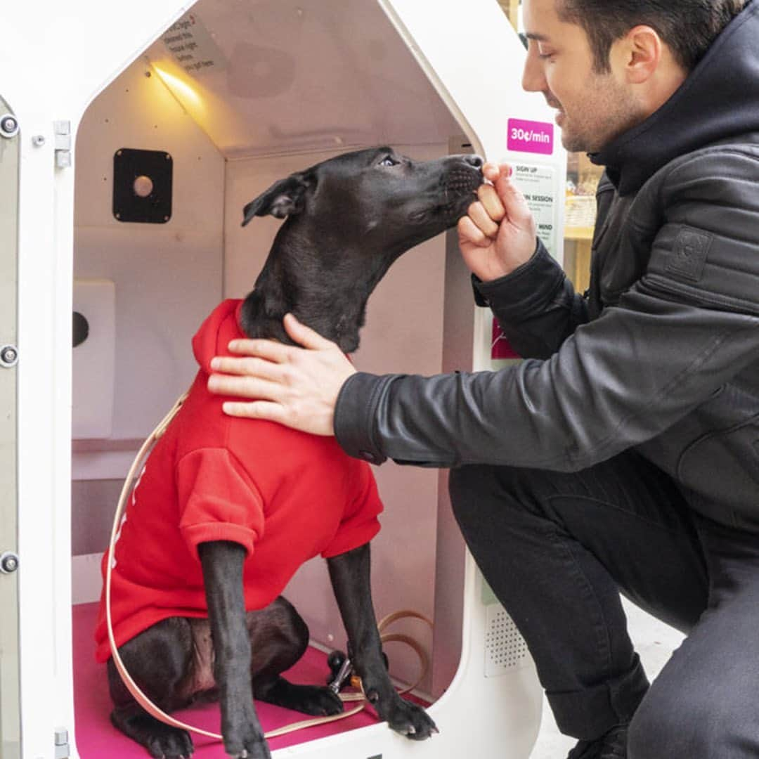 Microsoftさんのインスタグラム写真 - (MicrosoftInstagram)「@DogSpot, a startup built on our #cloud platform, provides “smart sidewalk sanctuaries” that offer a safe, clean retreat for pups whose owners need to pop into shops or restaurants where dogs are prohibited. Their high-tech shelters keep your pup🐶 at the paw-fect temperature, warm in the winter and cool in the summer.」6月27日 7時32分 - microsoft